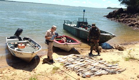 Pesca Ilegal En El Río Paraná Secuestran Casi 100 Bogas Cañas Y Un