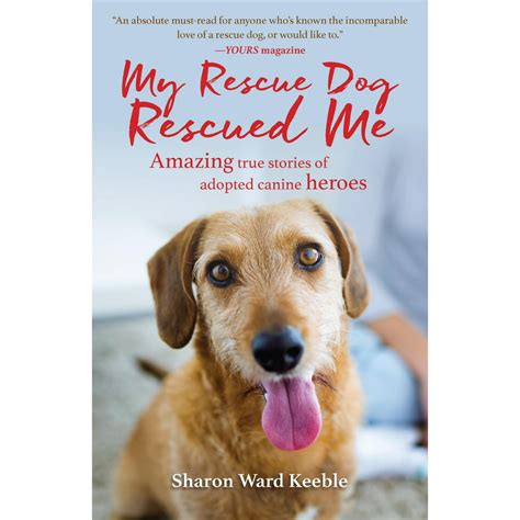 My Rescue Dog Rescued Me Amazing True Stories Of Adopted Canine