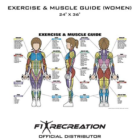 F1 Recreation Original Exercise And Muscle Guide Fitness Chart Women