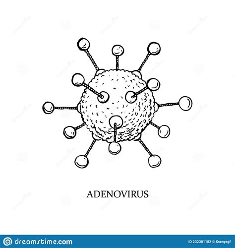 Hand Drawn Adenovirus Illustration With Name In Sketch Style
