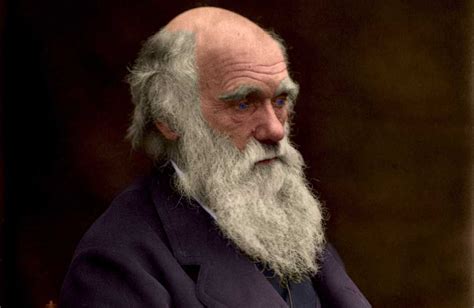 Darwin Y Su Influencia En La Psicología Psyciencia