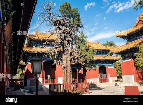 Stone Tablet Pavilions At The Yard Of Confucian Temple Beijing Stock