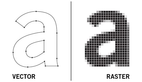 Raster Vs Vector Images A Brief Comparison