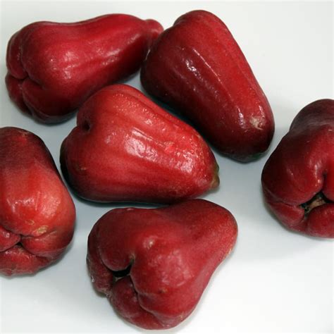 Jambu Fruit