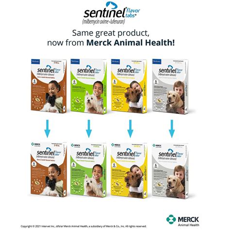 Sentinel Flavor Tabs For Dogs 26 50 Lbs 6 Ct Entirelypets Rx