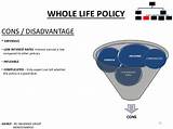 Types Of Whole Life Insurance Policy Photos