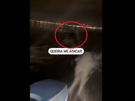 Viral Video Fisherman Chased By Mysterious Sea Creature Off Brazil