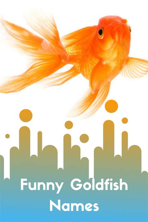 Goldfish Names - Petsium | Goldfish names, Goldfish, Pet goldfish
