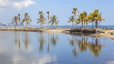 Matheson Hammock Park Florida Hikes