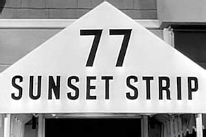 Ginchy Kooky Facts About Sunset Strip