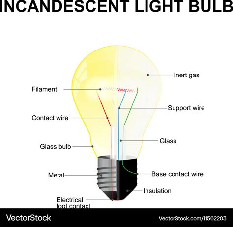 Electric Light Bulb Diagram