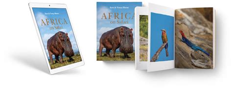 Africa On Safari Book Kym Illman