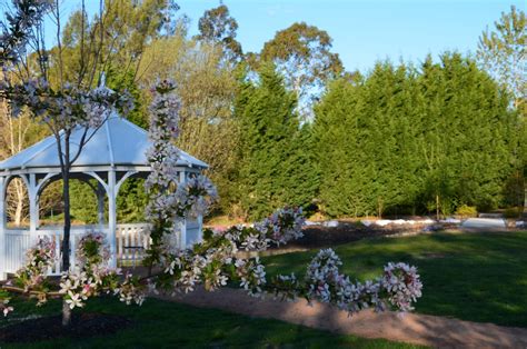 For a green wedding with grace and romance look to crystal springs rhododendron garden. Why have a Spring Wedding in the Southern Highlands - The ...
