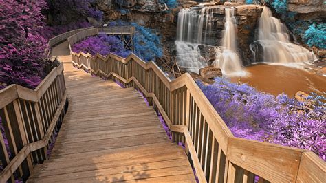 Wood Steps Waterfalls On Stones Pouring On River Purple Leaves Plants