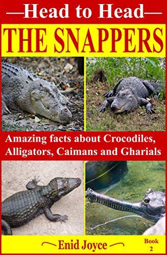 The Snappers Amazing Facts About The Crocodile The Alligator The