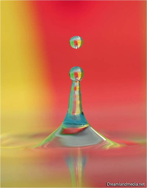 Rainbow Droplet In 2021 Water Droplets Droplets Rainbow Colors