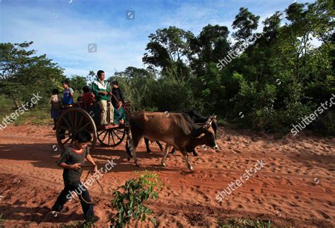 Children Ache Indigenous Group Drive Oxcart Editorial Stock Photo