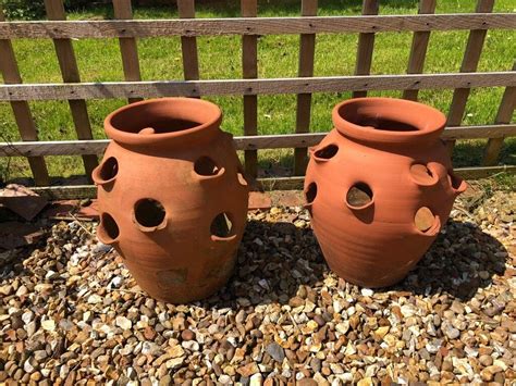 2 X Terracotta Strawberryherb Pots In Coventry West Midlands Gumtree