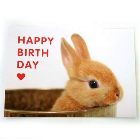 happy birthday bunny card ~ send everyday