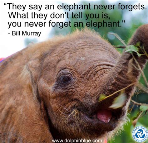 Quotations by marie curie, polish scientist, born november 7, 1867. Elephants never forget. | Elephant quotes, Elephant, Save the elephants
