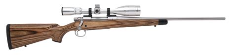 17 Caliber Remington Rifle Jaselanumber