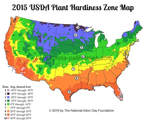 Palm Tree Cold Hardiness Zone Map