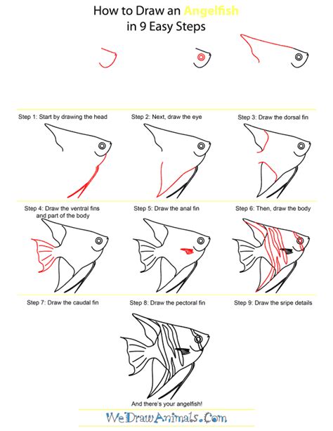 Https://techalive.net/draw/how To Draw A Angle Fish From The Ocean