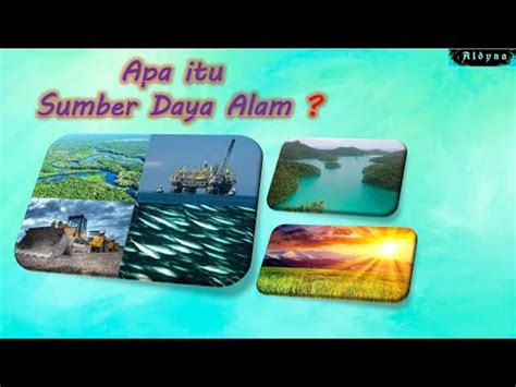 Jenis Sumber Daya Alam || Materi Geografi kelas 11 || SDA - YouTube