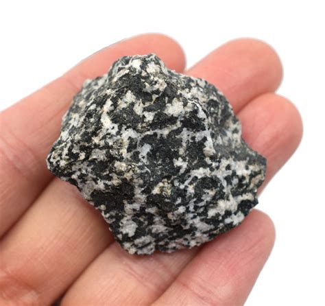 Raw Diorite Igneous Rock Specimen Approx 1 — Eisco Labs