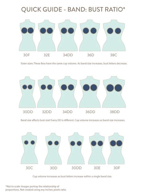 different bra cup size chart