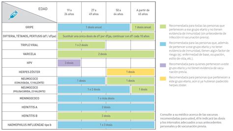 Calendario De Vacunación Recomendado Para Adultos Stamboulian