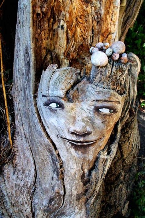26 Best Funny Trees With Faces Images On Pinterest Tree Faces Garden