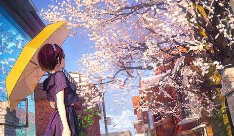 Background Taman Bunga Sakura Anime Sakura Blossoms Anime Wallpapers