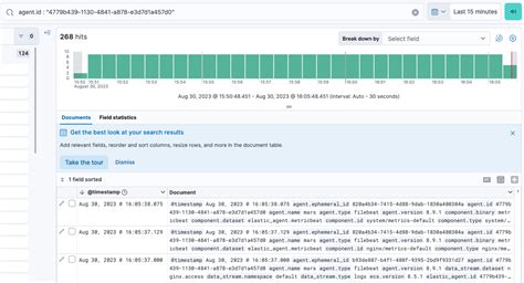 Example Use Standalone Elastic Agent To Monitor Nginx Fleet And