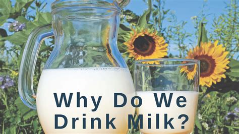 Why We Drink Raw Milk Peaceful Heart Farm It S The Nutrition