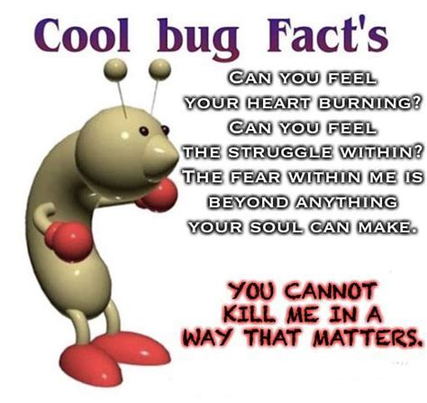 Tell Me The Name Of God You Fungal Piece Of Shit Rcoolbugfacts