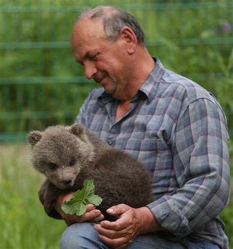 3 Cuddly Bear Cubs Taken Under Protection After Their Mothers Die