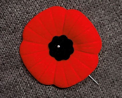 Why Do We Wear Poppies Leading Up To Remembrance Day Heres A Timeline