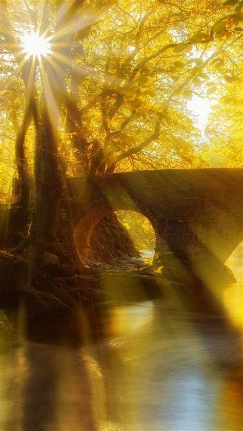 Wallpaper Park Bridge River Trees Leaves Sun Rays 1920x1200 Hd