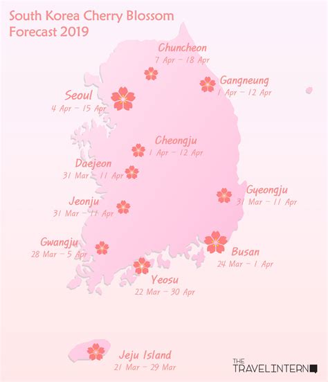 South Korea Cherry Blossom Guide 2019 — The Only Guide Youll Need