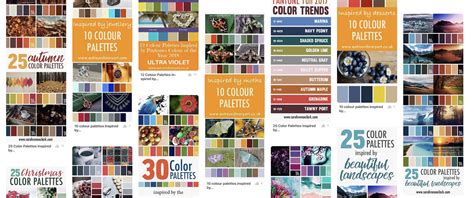Color Palettes A Beginners Guide To Coloring With Sophistication