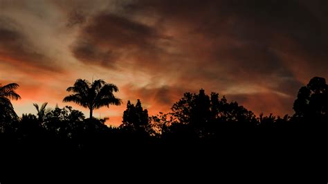 Wallpaper Evening Trees Outlines Dark Sunset Clouds Hd