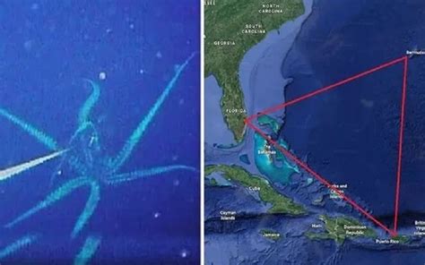 Triángulo De Las Bermudas ¿por Qué El Sorprendente Descubrimiento De