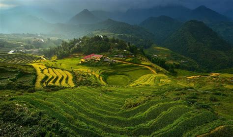 Rice Terraces Vietnam Mountains Clouds Terraces Rice Vietnam