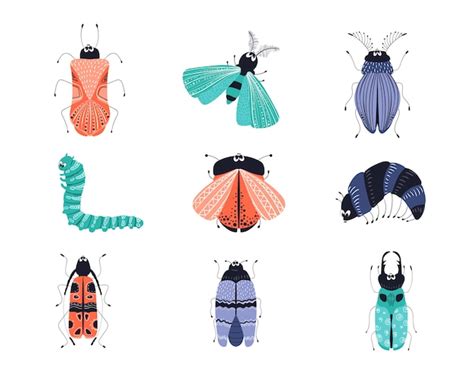 Premium Vector Vector Cartoon Bug Or Beetle