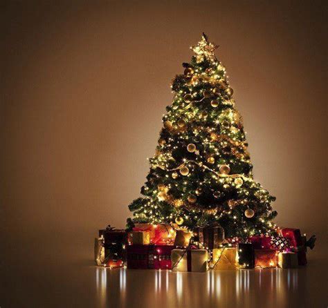 Cuál Es El Significado De Los Árboles De Navidad