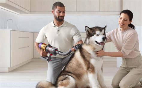 Why Are Dogs Scared Of Vacuums Pet Guides Health Gear Articles By