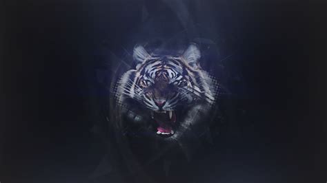 Abstract Tiger Wallpaper By Zeracreations On Deviantart