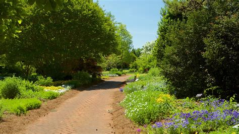 Huntsville Botanical Garden In Huntsville Alabama Expedia