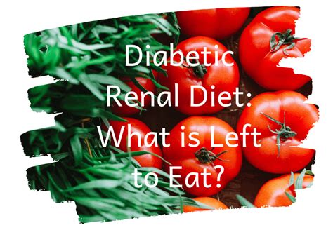 Easy Renal Diet Lunch Ideas 2023 Atonce